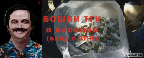 ешки Алексин