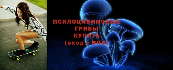ешки Алексин